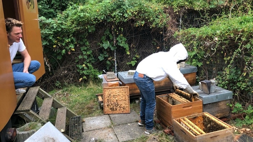 Bienenpatenschaft - Nathan Gardner - die Abholung unserer beiden Bienenvölker Bienenpatenschaft - Nathan Gardner - die Abholung unserer beiden Bienenvölker